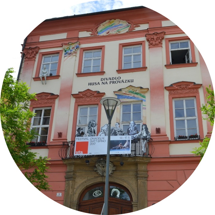 Husa na provázku